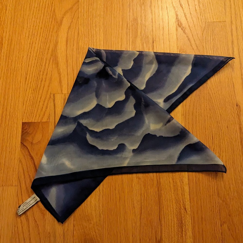 Elaine Gold for Collection XIIX LTD scarf - Picture 3 of 3
